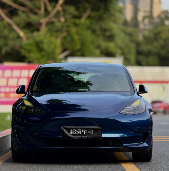 研究显示:马斯克涉足党派政治 特斯拉在美国少